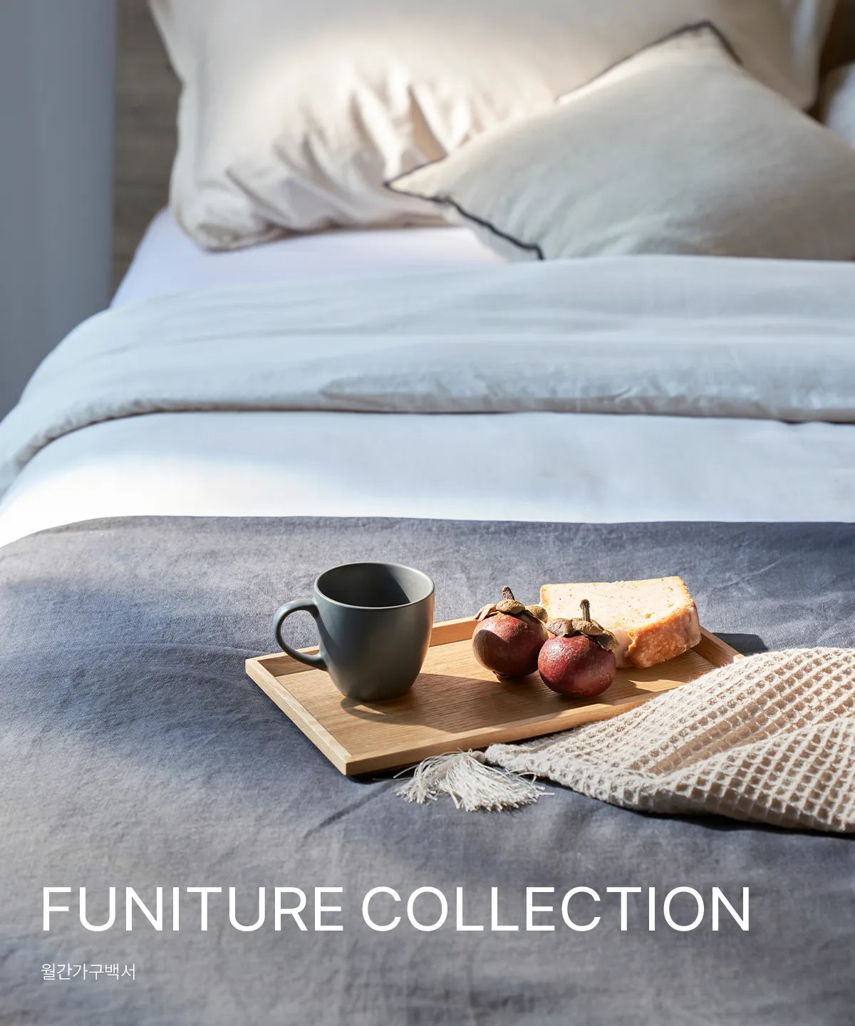 FUNITURE COLLECTION