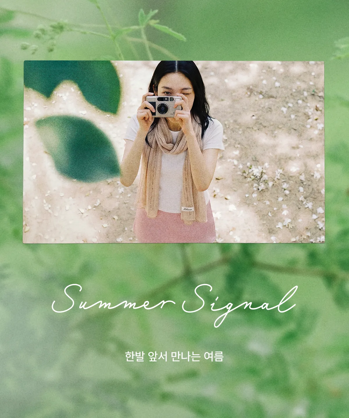 SUMMER SIGNAL
