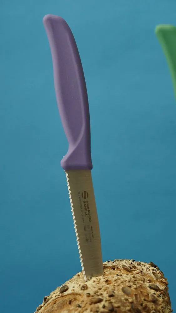 알록달록 칼의 세계