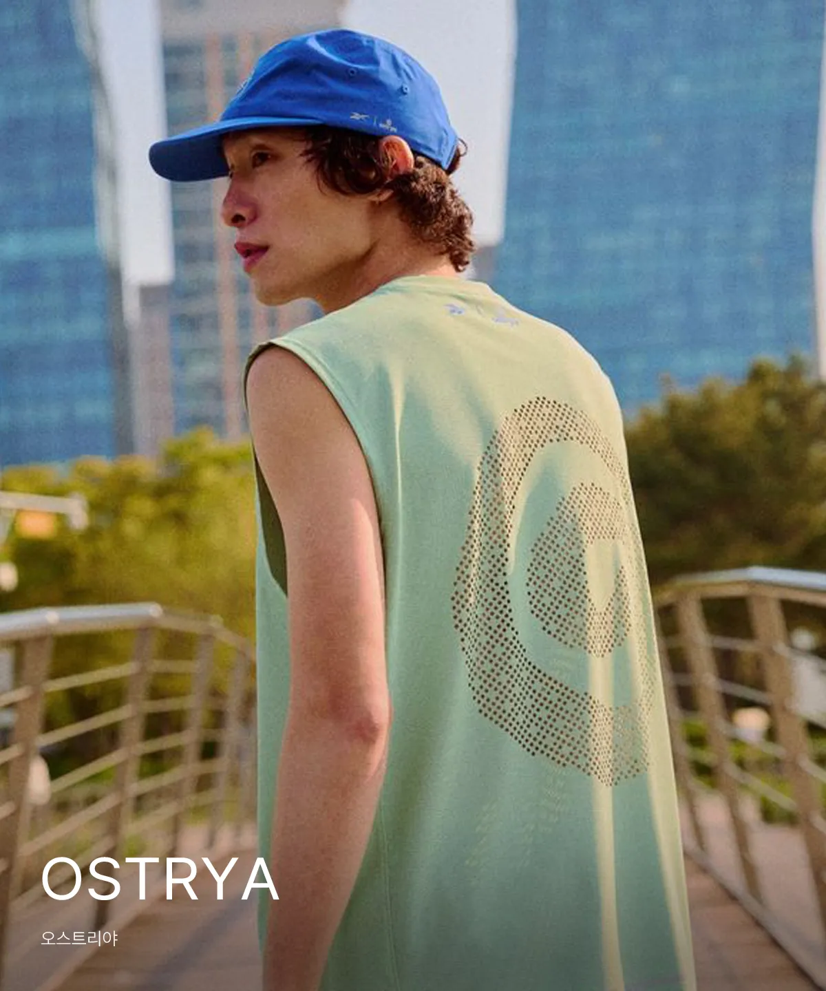 OSTRYA