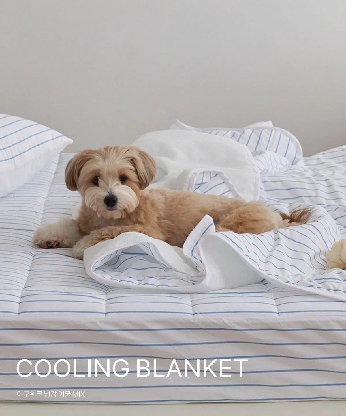 COOLING BLANKET