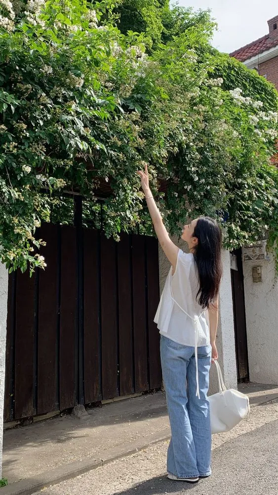 조용한 미학의 완성