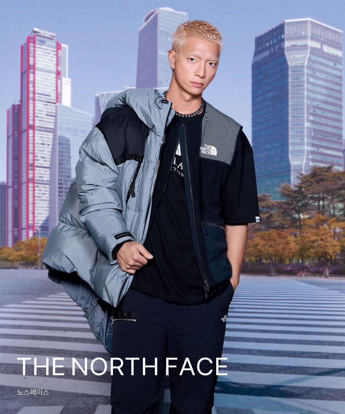 THE NORTH FACE