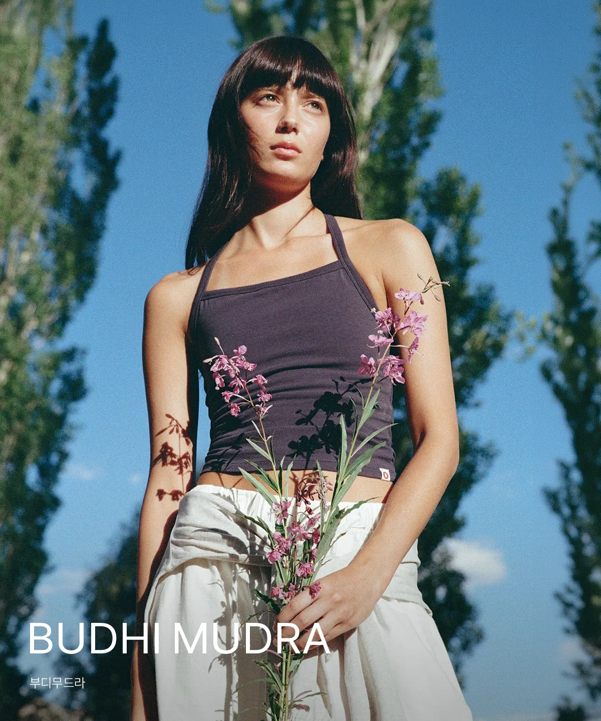 BUDHI MUDRA