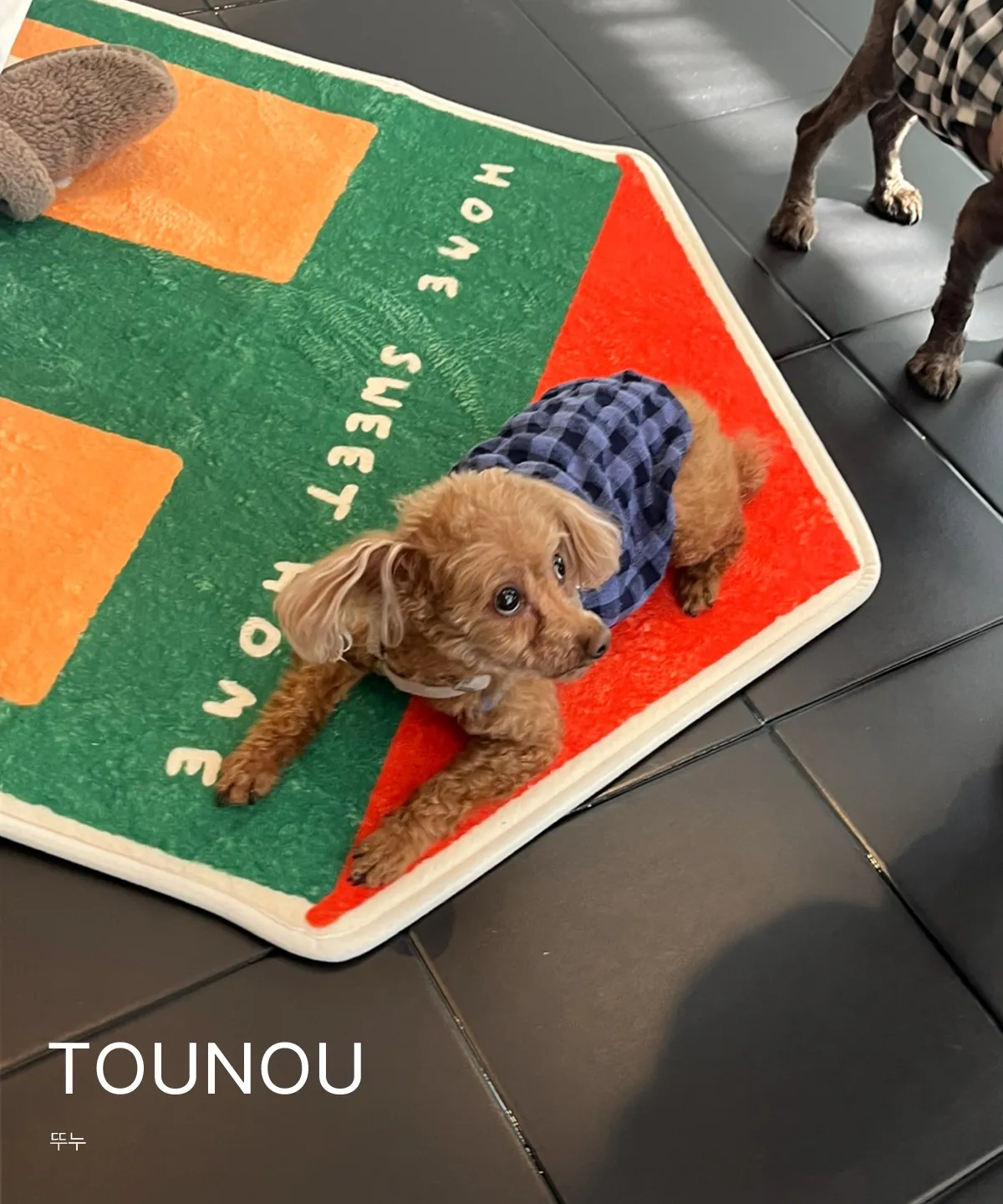 TOUNOU