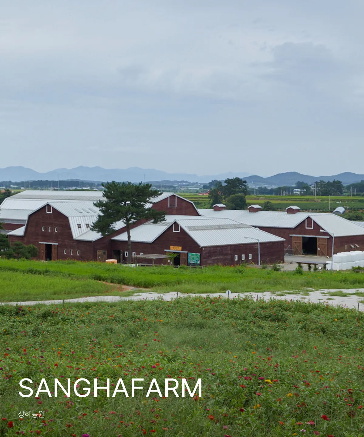 SANGHAFARM