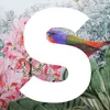 brand-image