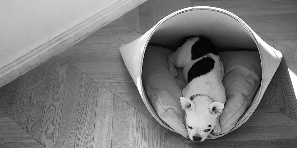 HOWLPOT
