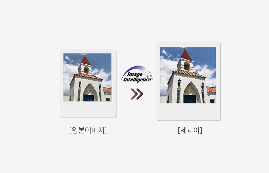 FUJIFILM Intelligence 필터