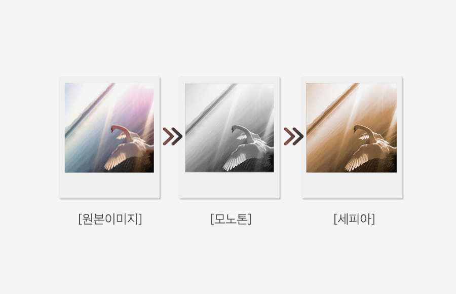 컬러 필터