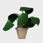[KIDSDEPOT] Pebbe