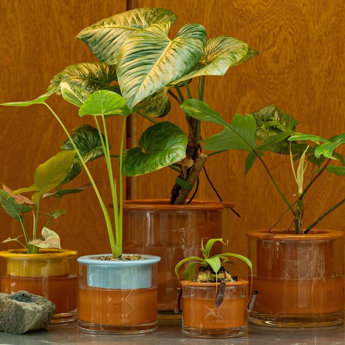 WET POT SYSTEMS self watering planter 감도 깊은 취향 셀렉트샵 29CM