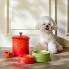 반려동물 식기 (L)