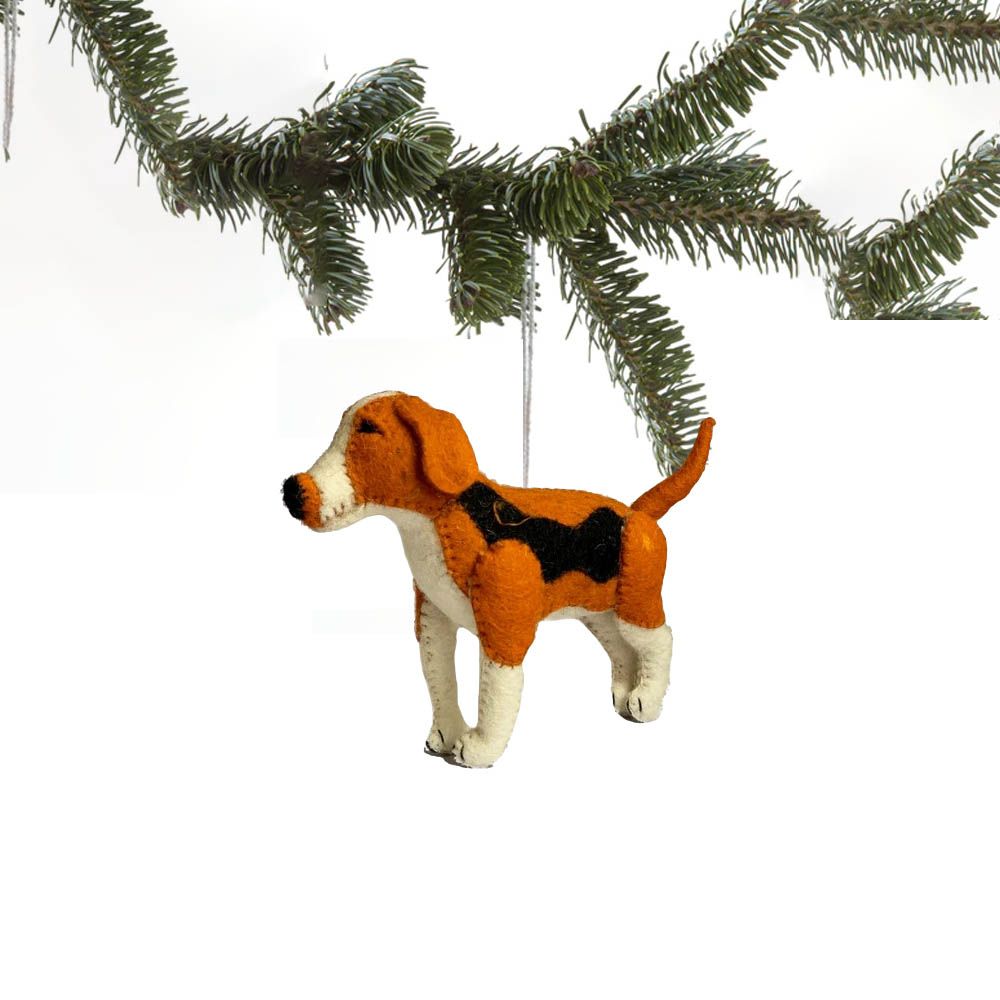 비글 Beagle