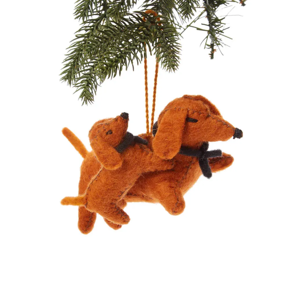 닥스훈트 Dachshund 