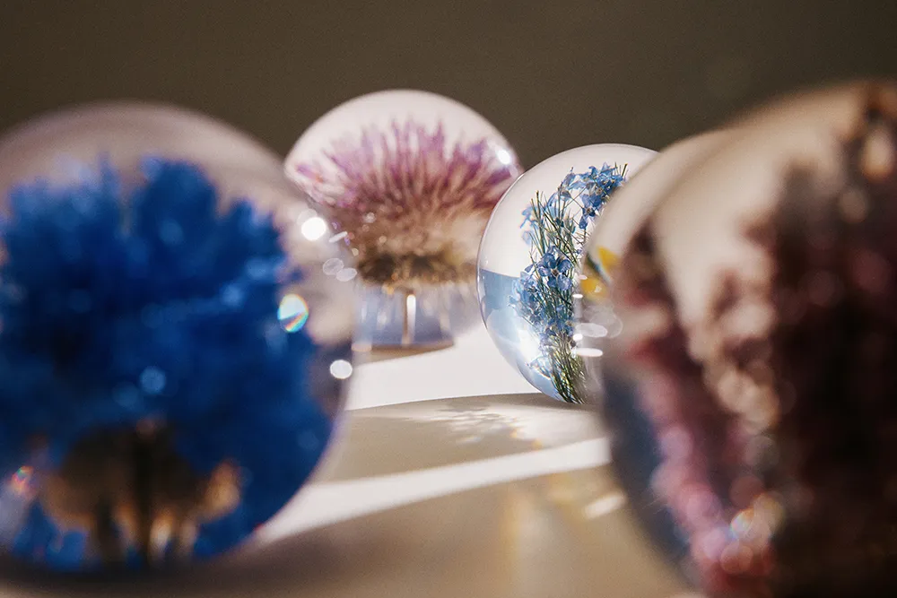 Open Thistle Paperweight - Large