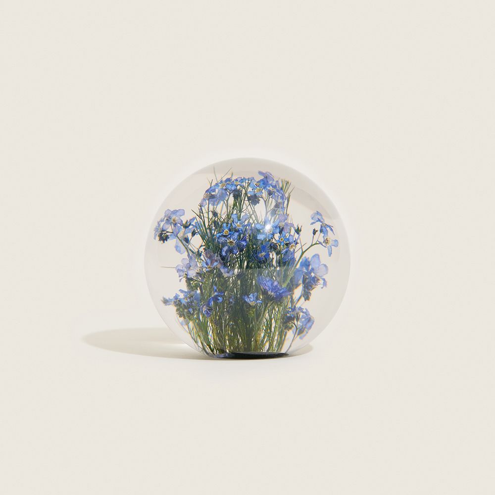 [Hafod Grange] me not Paperweight Small 감도 깊은 취향 셀렉트샵 29CM