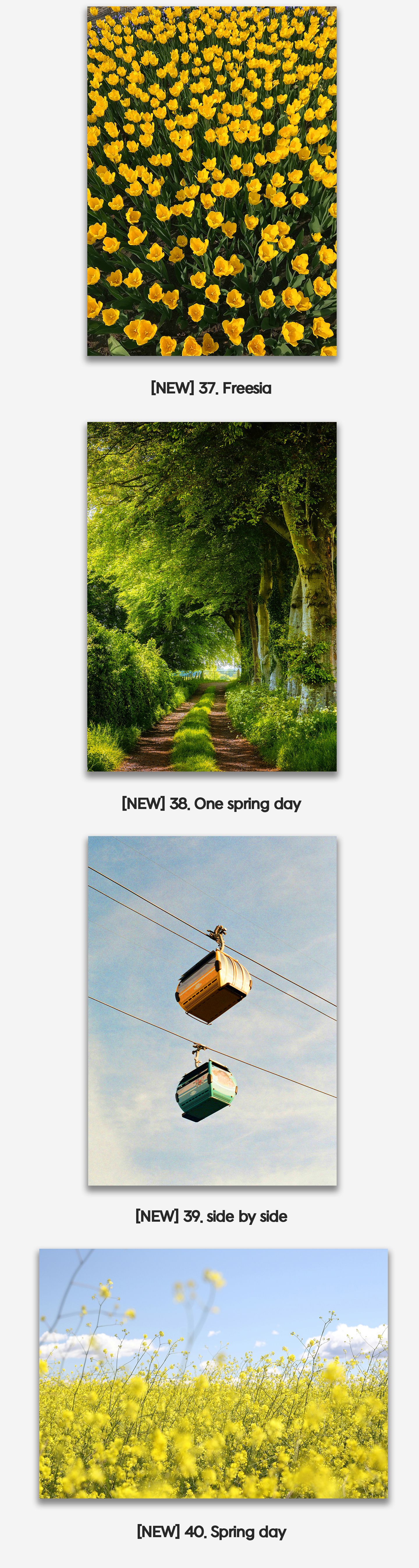 thumbnail-12