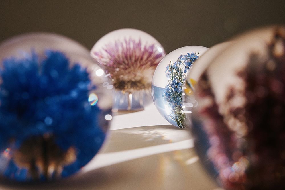 Forget me not Paperweight - Small