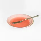 Fog mini plate 포그 미니 플레이트 March (Flamingo / Pink)