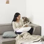 캐스터네츠 펫과 함께쓰는 소파 (패브릭 3인)