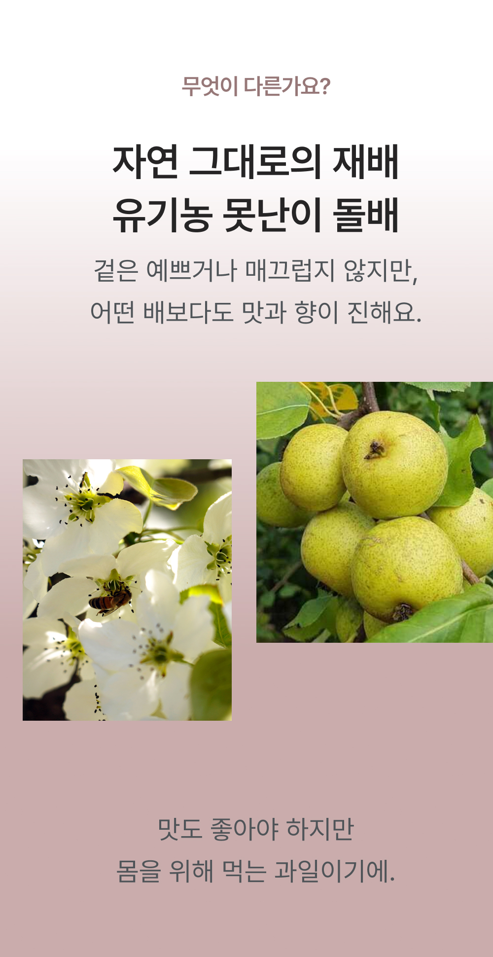 thumbnail-11