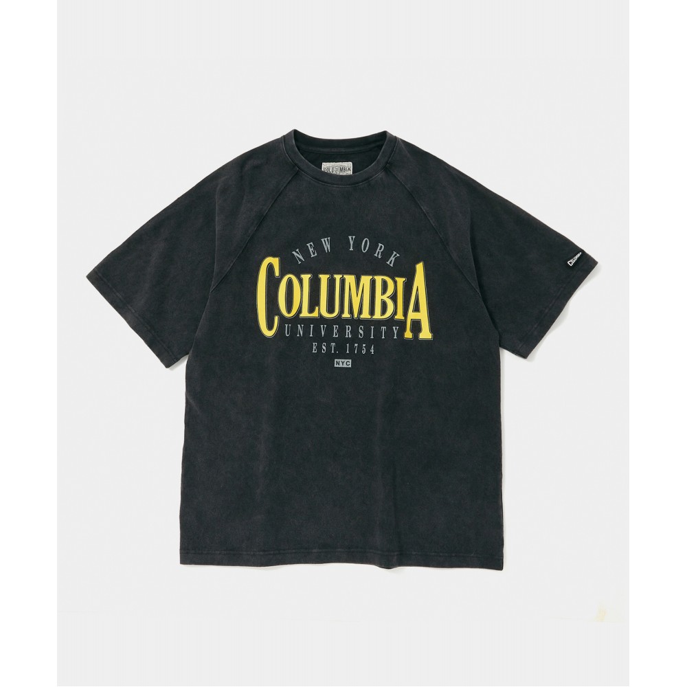 ★★Columbia★★ CU VTG CRACK LOGO MINIMAL WASHED SS TSHIRTS CU VTG CRACK LOGO MINERAL WASHED S/S T-SHIRTS 그레이 - 감도