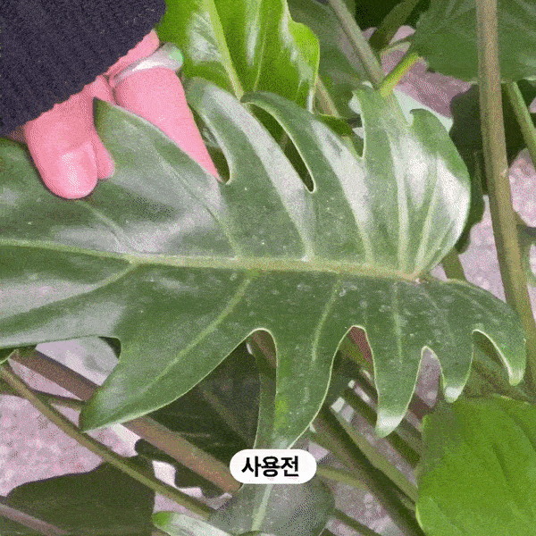 thumbnail-16