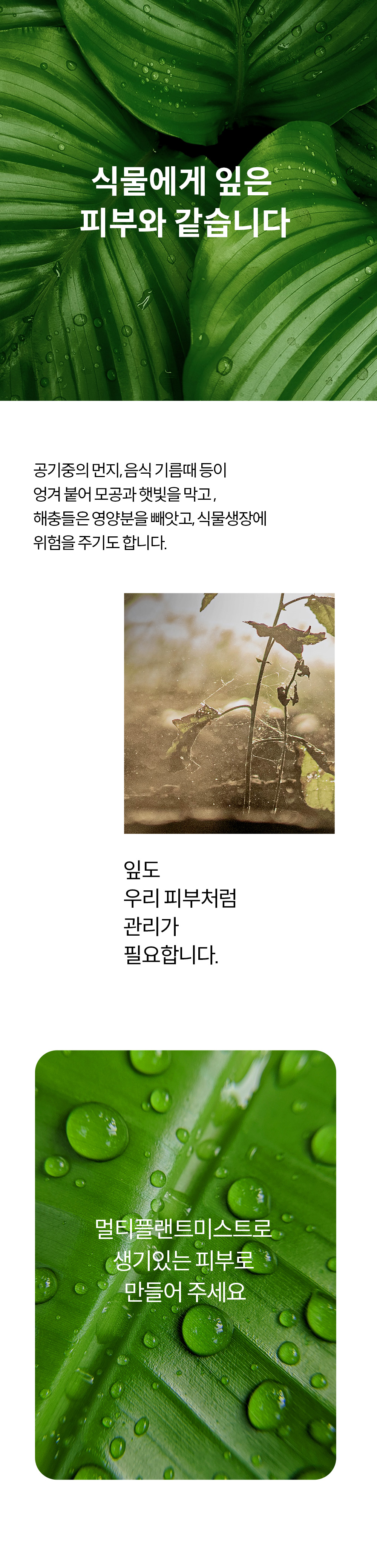 thumbnail-19