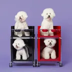 까비네 PATPAT 웰컴 하이 체어 강아지 고양이 식탁 의자 쿠션(Red)