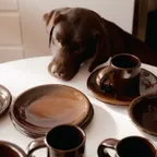 [HEM] Bronto Plate (Set of 2), 브라운 (31540)