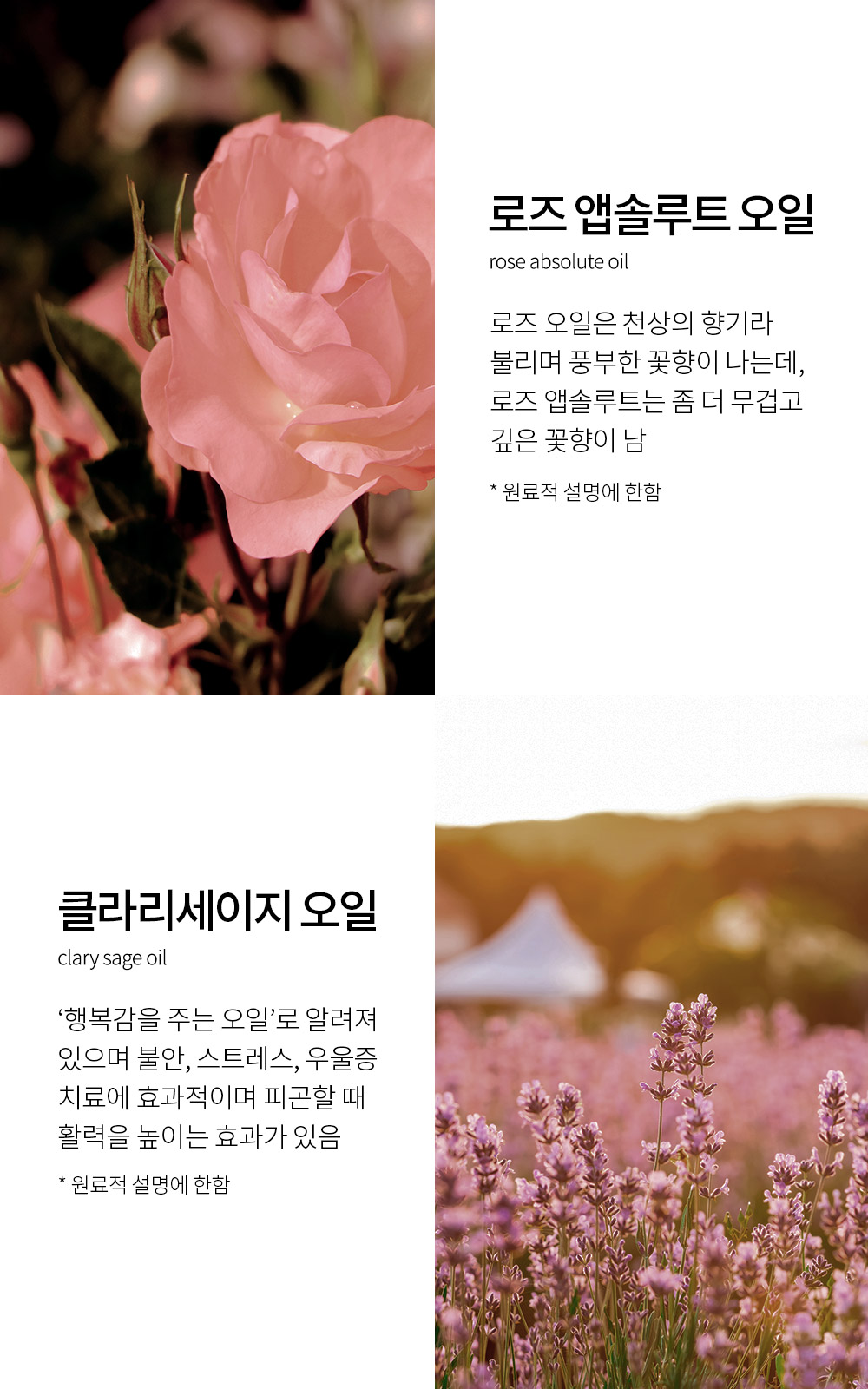 thumbnail-12