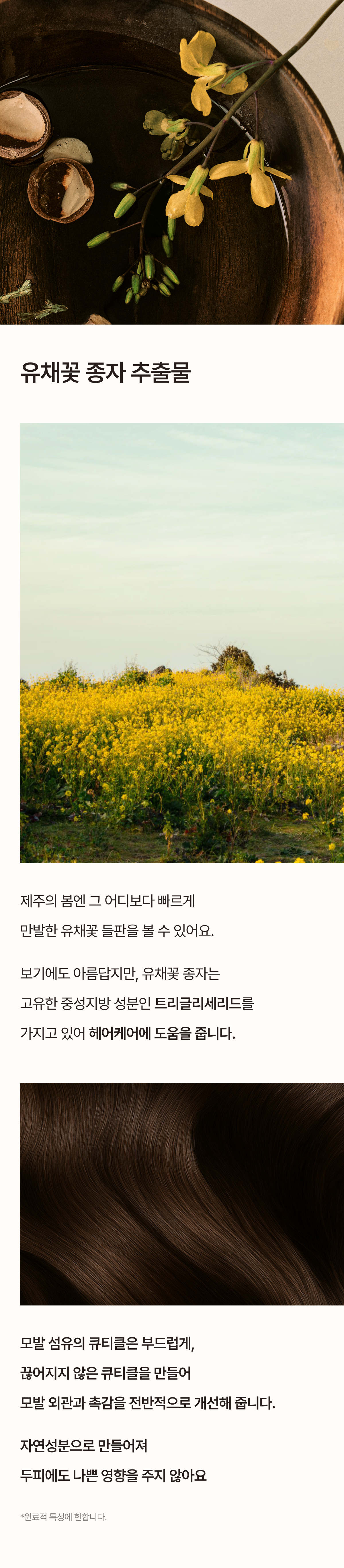 thumbnail-12