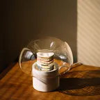 머쉬룸 조명 클리어