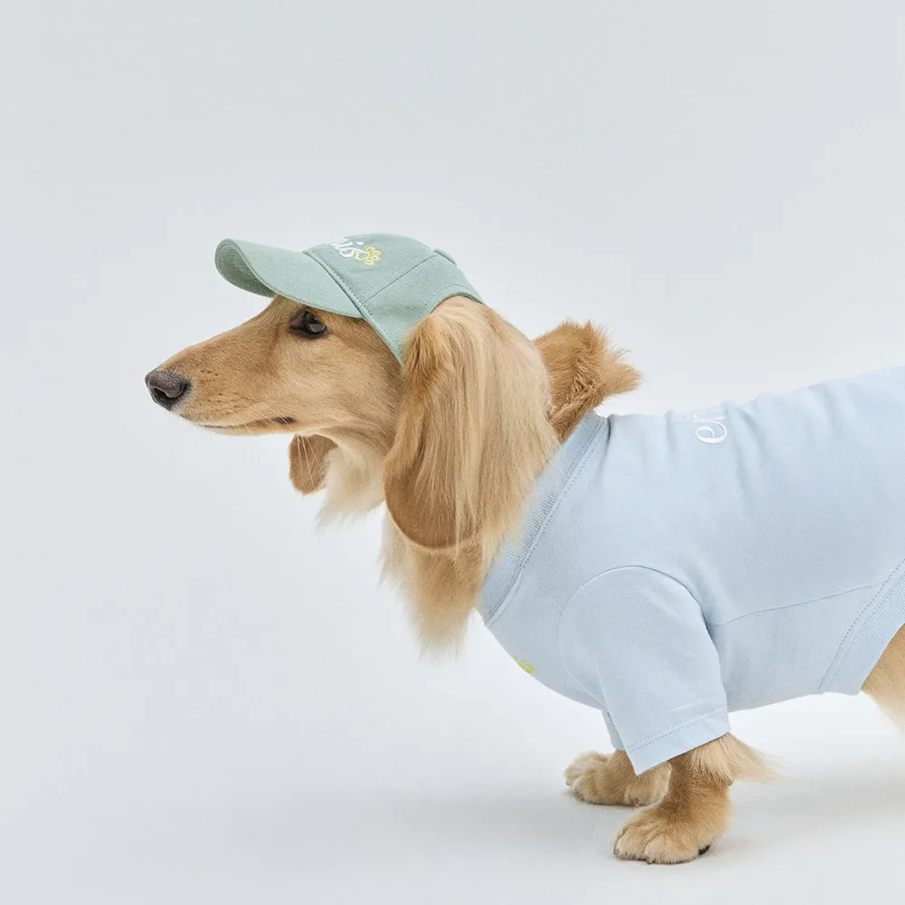 (PET) LETTERING LOGO BALL CAP-GREEN - 감도 깊은 취향 셀렉트샵 29CM