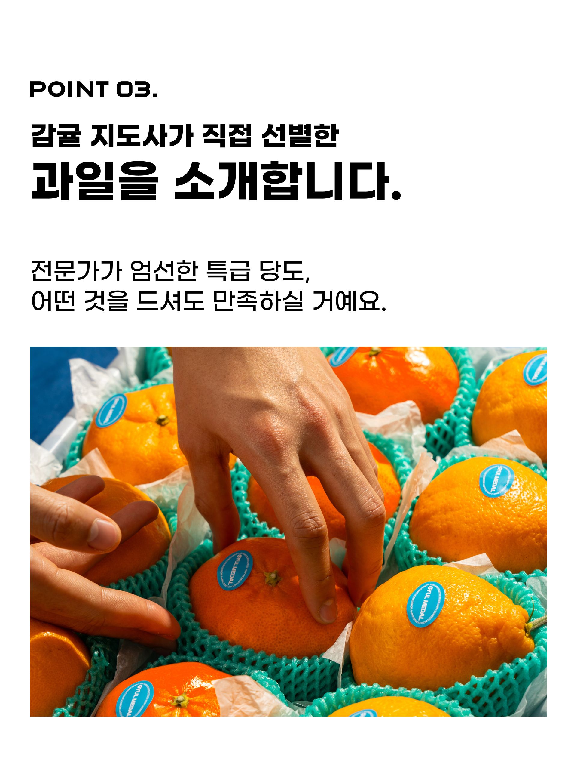 thumbnail-11