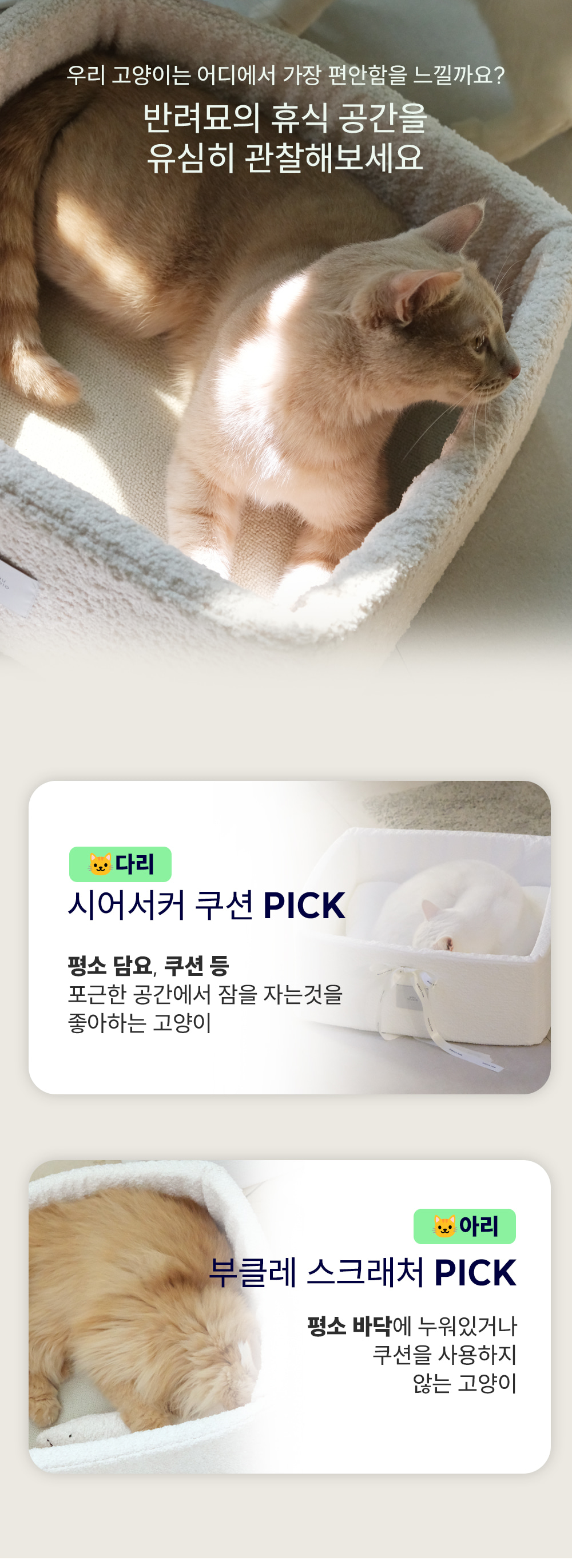thumbnail-12