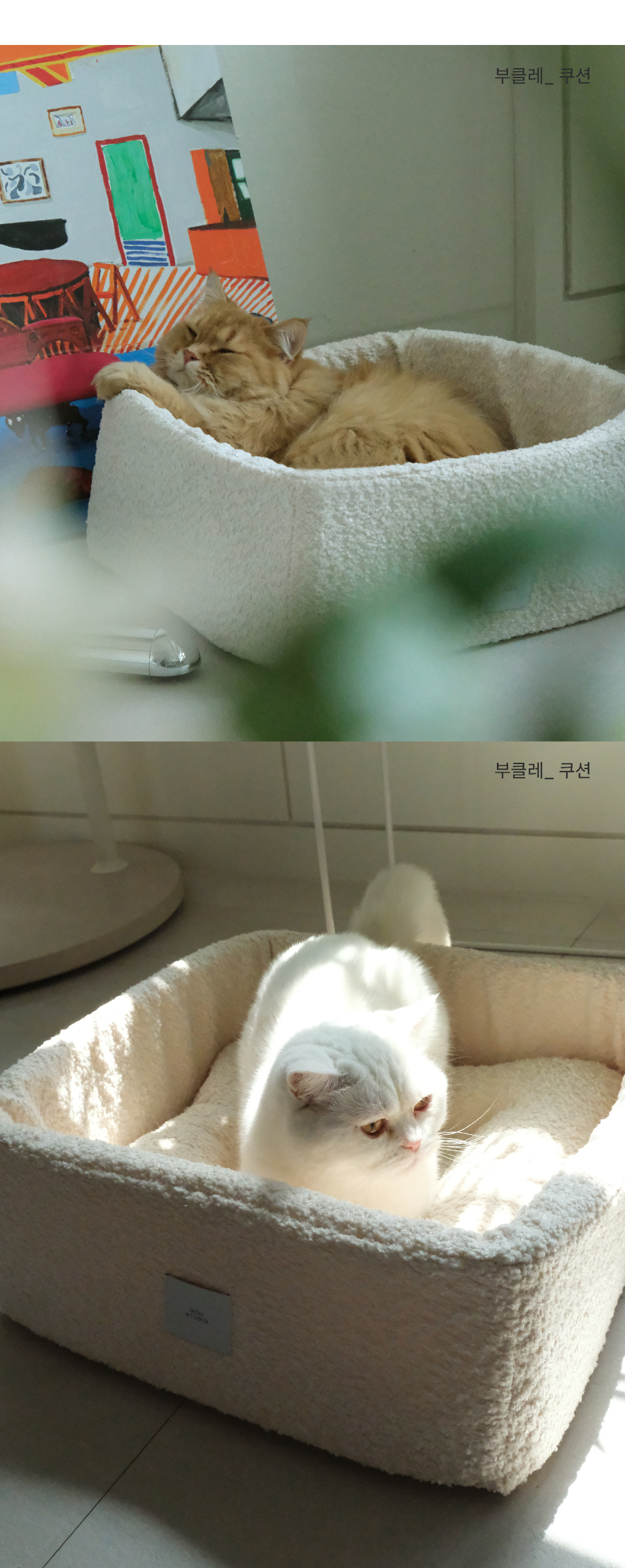 thumbnail-16