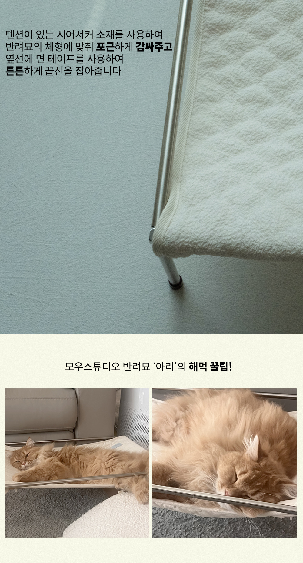 thumbnail-11
