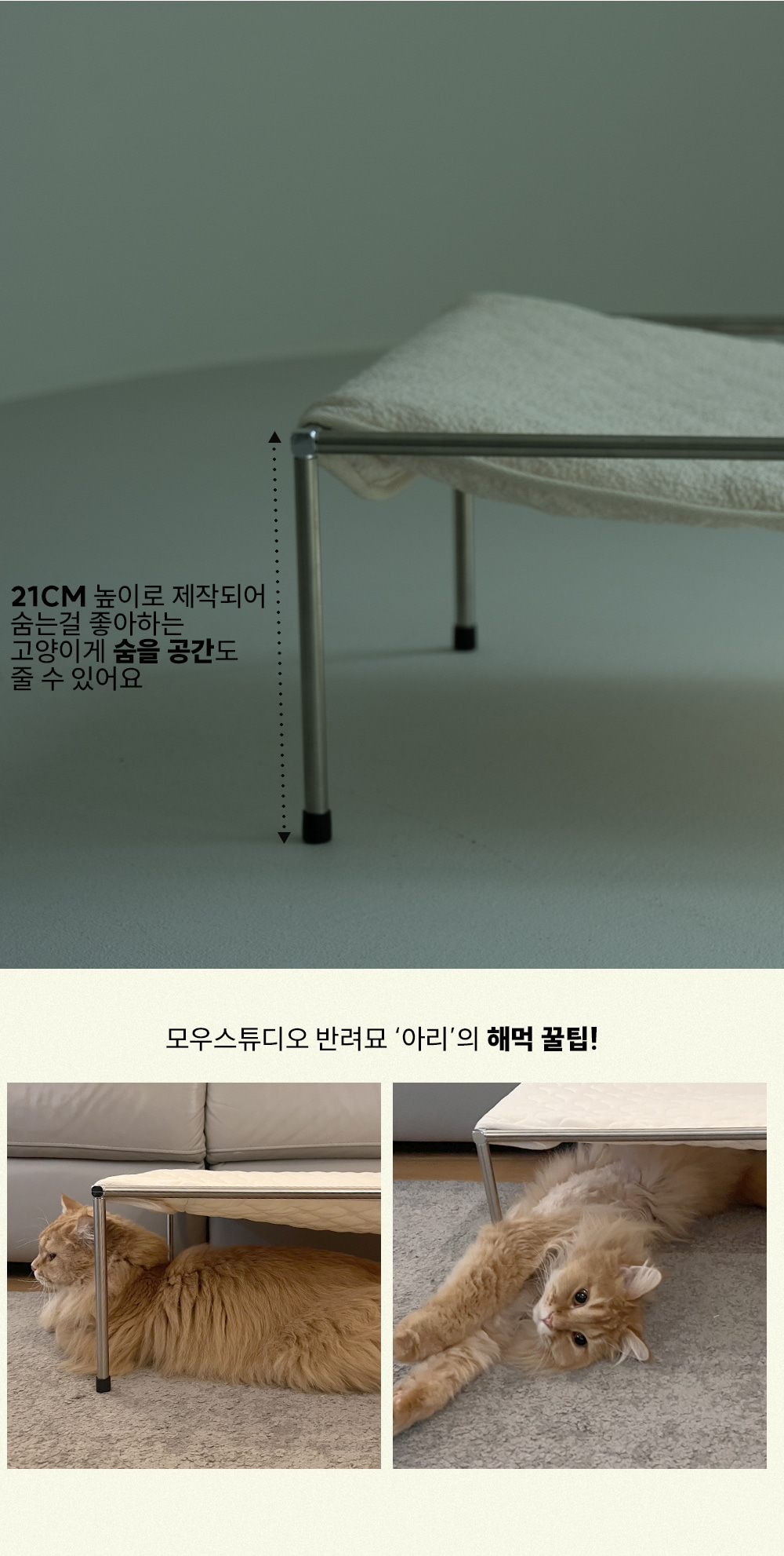 thumbnail-14
