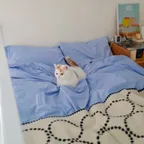 [SET] POSITANO 60수 고밀도 / 알러지케어 차렵이불 세트 (브리즈 블루)