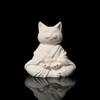 Meditating Cat