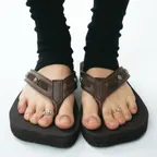 SUB_F831 Brown