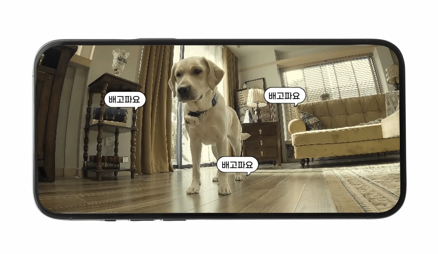 thumbnail-25