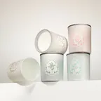 피에브 고체탈취제 250g 3개 SET