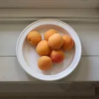 타블도트 소재 큰 둥근 접시  3color 8인치 깊은 접시 대