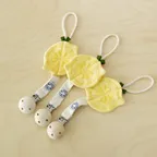 쪽쪽이 클립 Lemon Clips