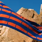 비치타월 - 대나무