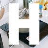 brand-image