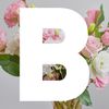 brand-image